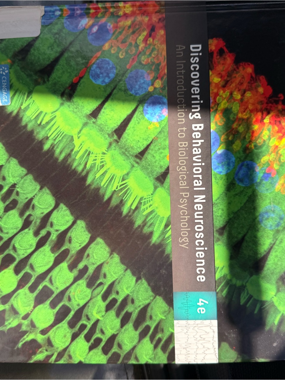 Discovering Behavioral Neuroscience Textbook - Bright Green & Teal Cover